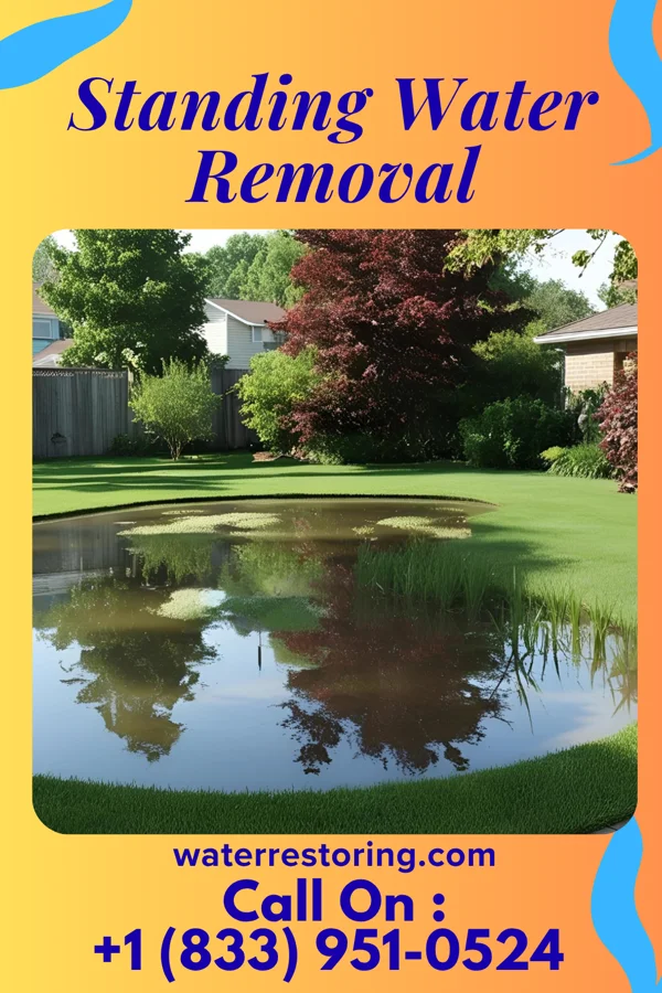 Standing Water Removal in Kellerton, IA